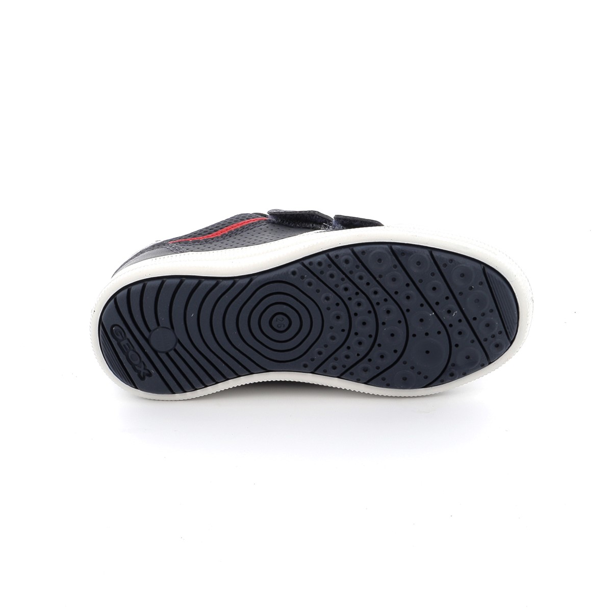 Boys' Shoes GEOX Blue