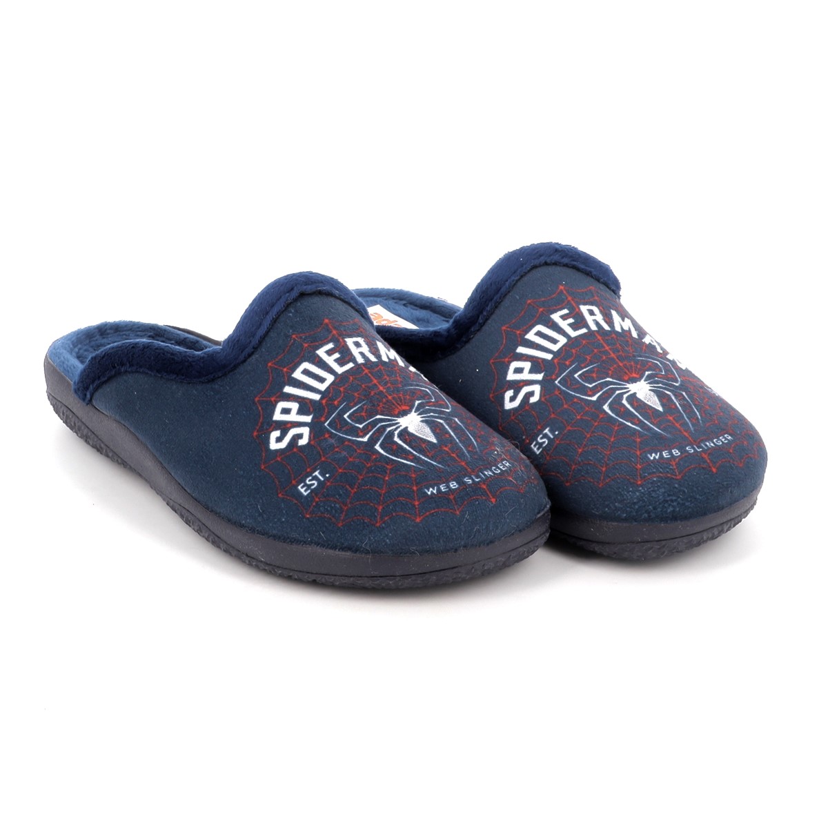 Boys' Slippers & Flip Flops ADAM'S Blue