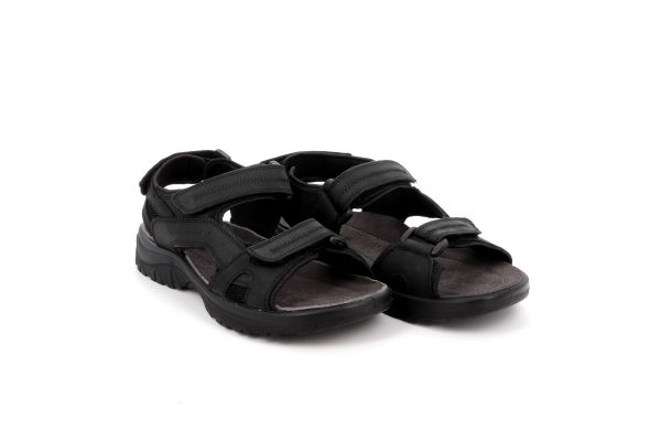 Men's Pedilo Parex Color Black 11631128. B